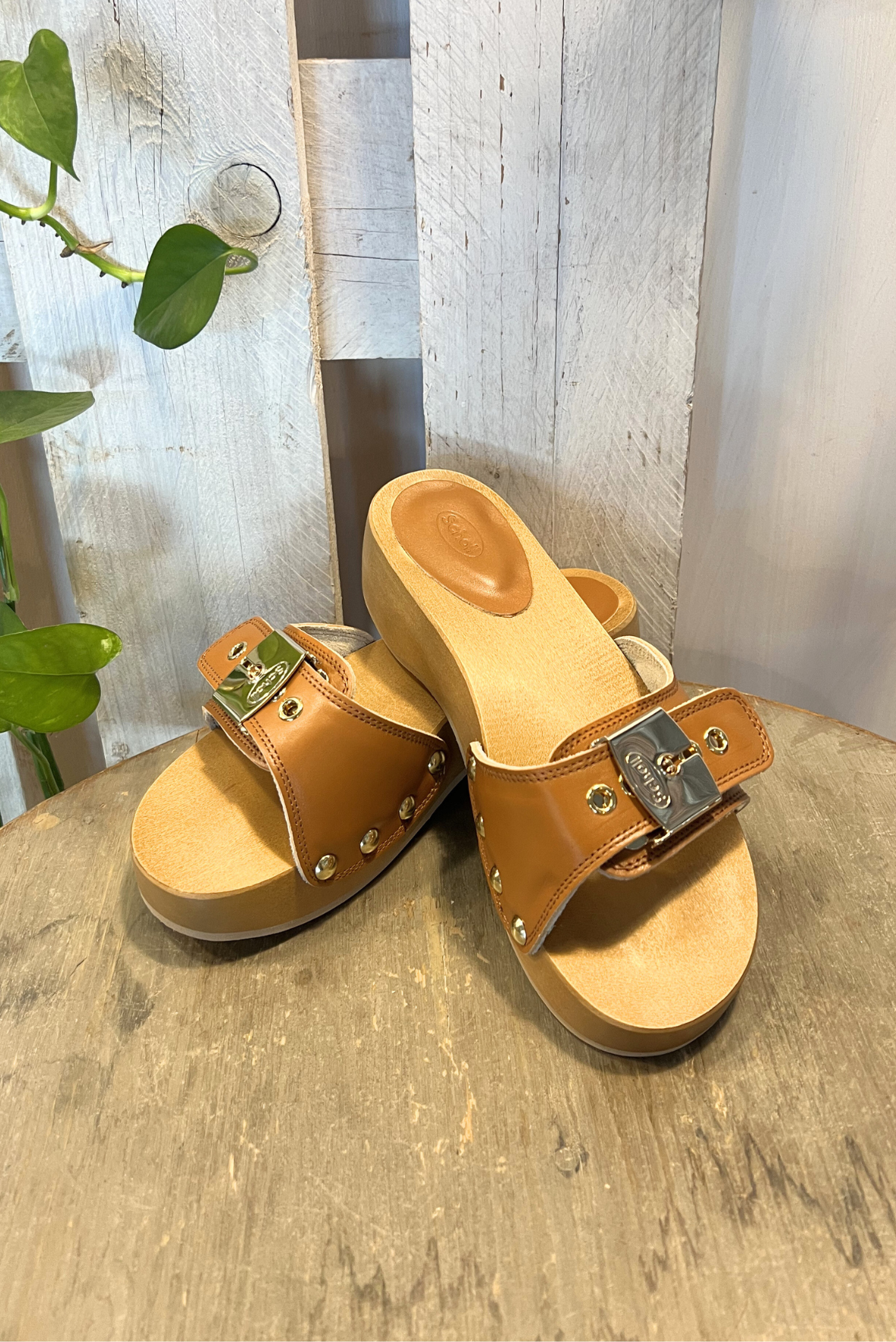Zoccolo in pelle