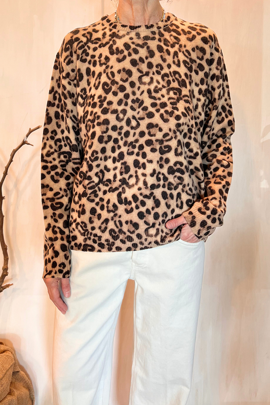 Maglia animalier misto cashmere