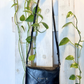 Borsa a tracolla